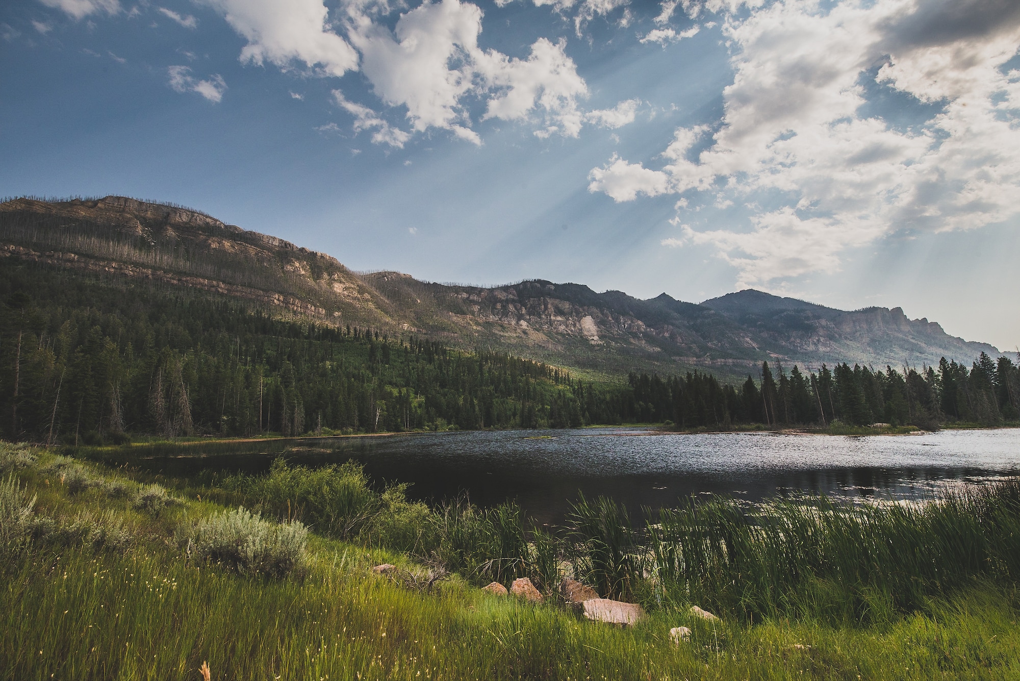 3--Faris Mubarak Photography